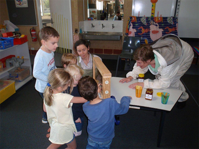 Primary School outreach
