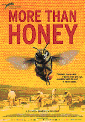 more than honey