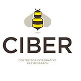 ciber logo